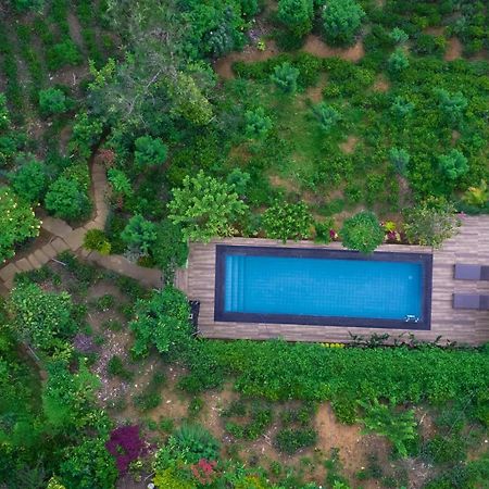 Tea Cabins Ella Ngoại thất bức ảnh