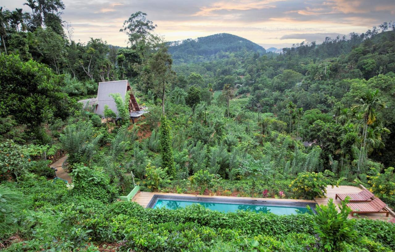 Tea Cabins Ella Ngoại thất bức ảnh