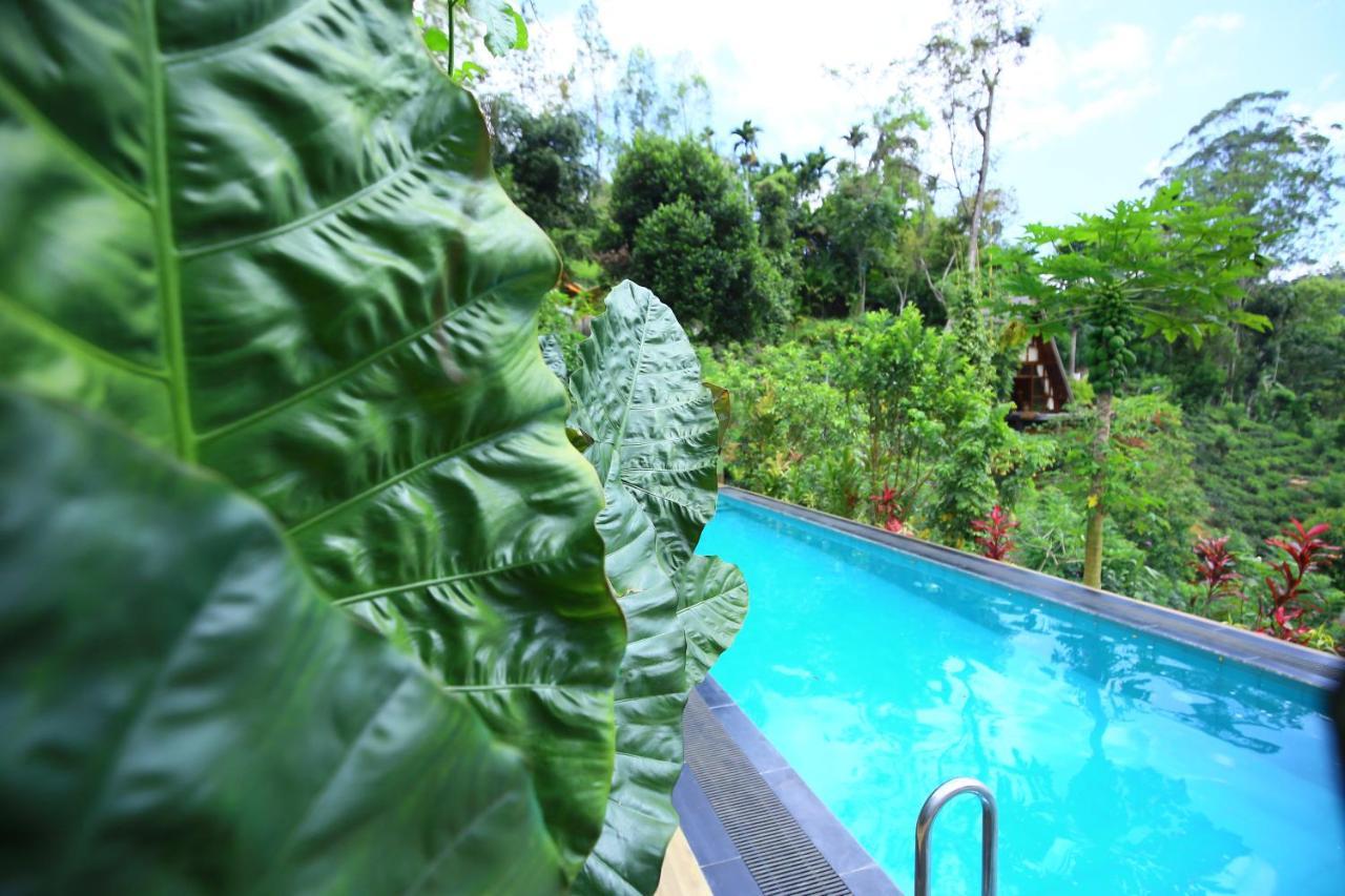 Tea Cabins Ella Ngoại thất bức ảnh